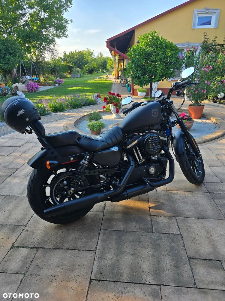 Harley-Davidson Sportster Iron 883 - 19