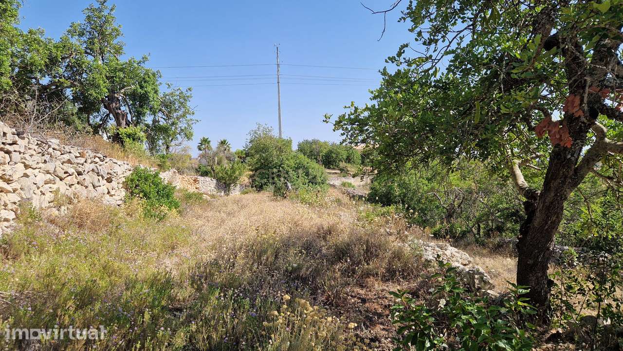 Terreno, 2 630 m², Boliqueime - Grande imagem: 5/17