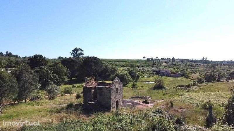 Quinta em Casal de Travançinha - Seia - Grande imagem: 2/8