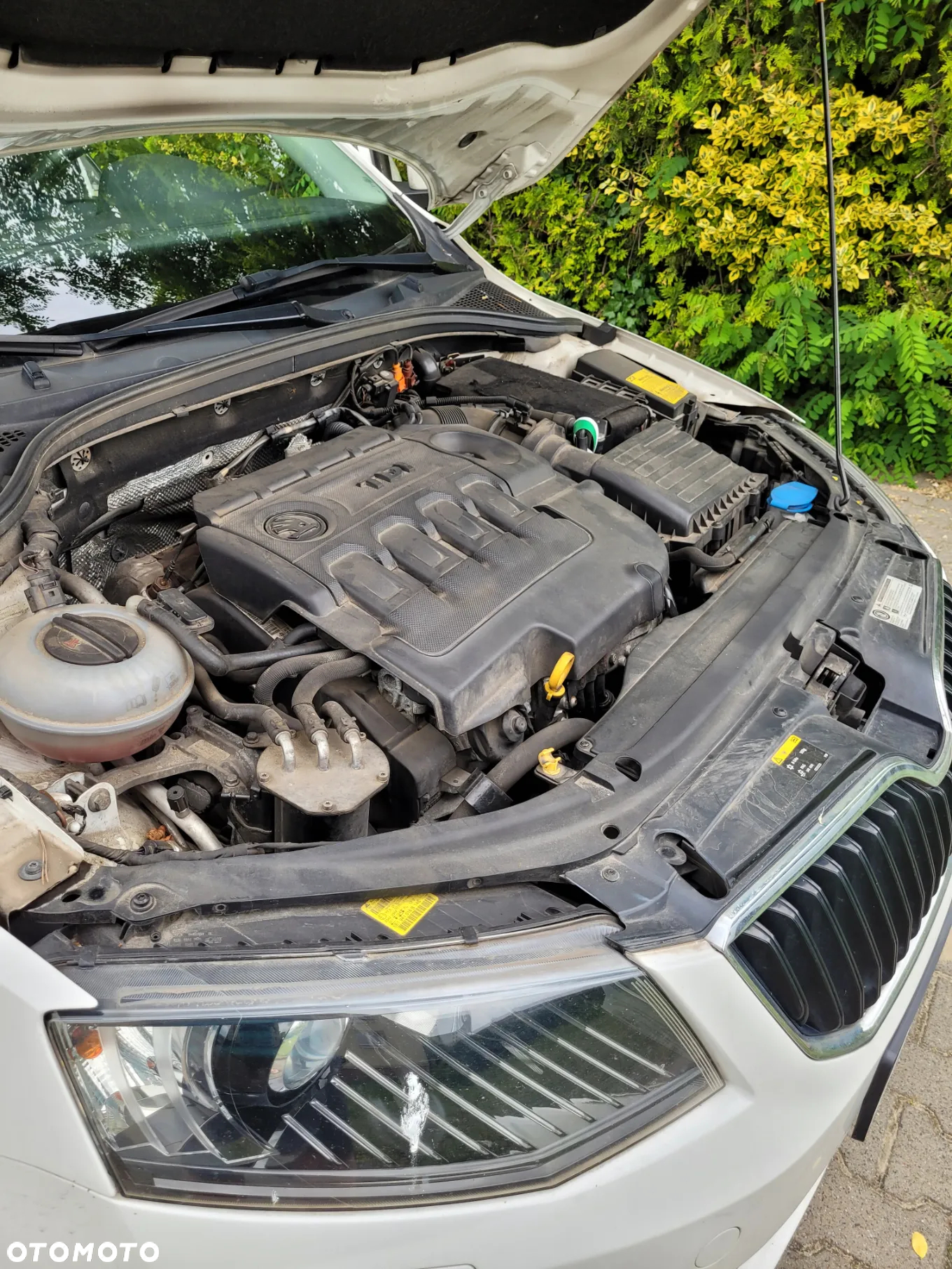 Skoda Octavia 2.0 TDI 4x4 Ambition - 16