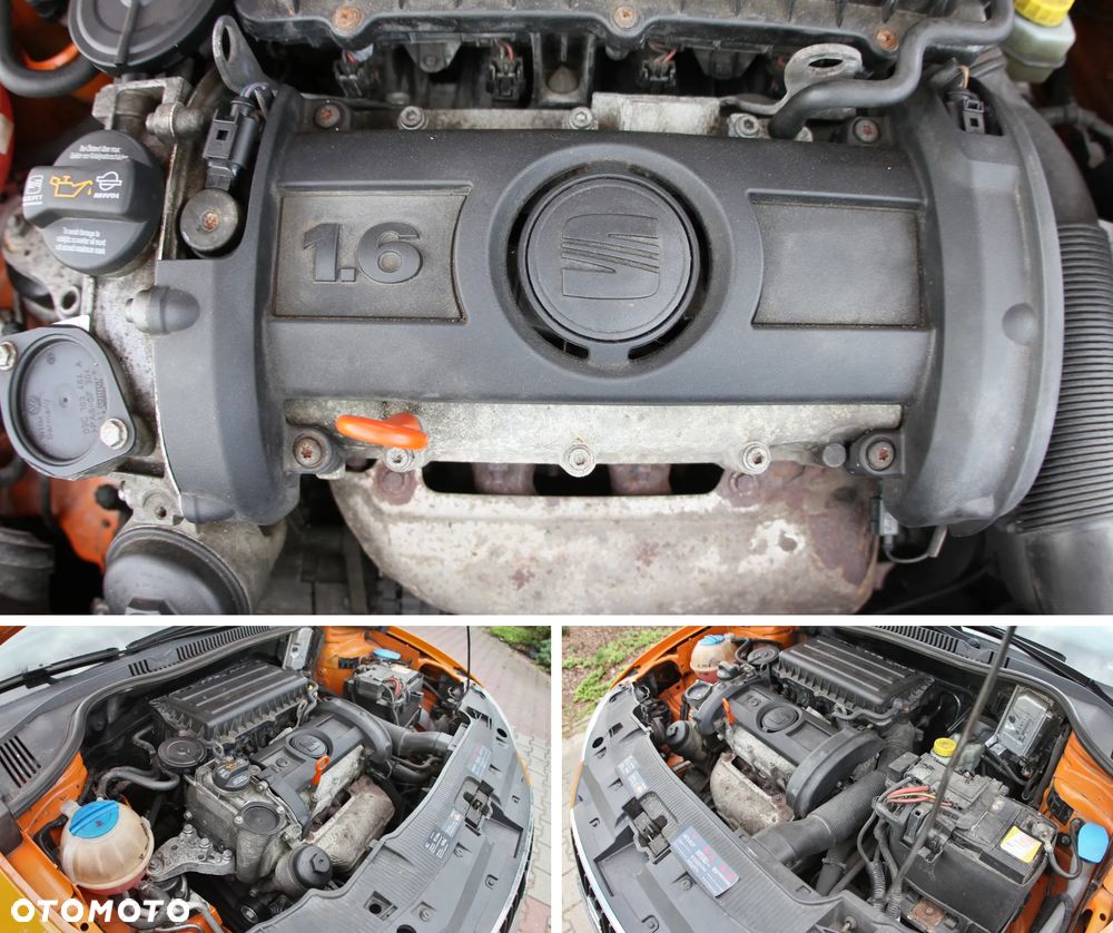Seat Ibiza - 40