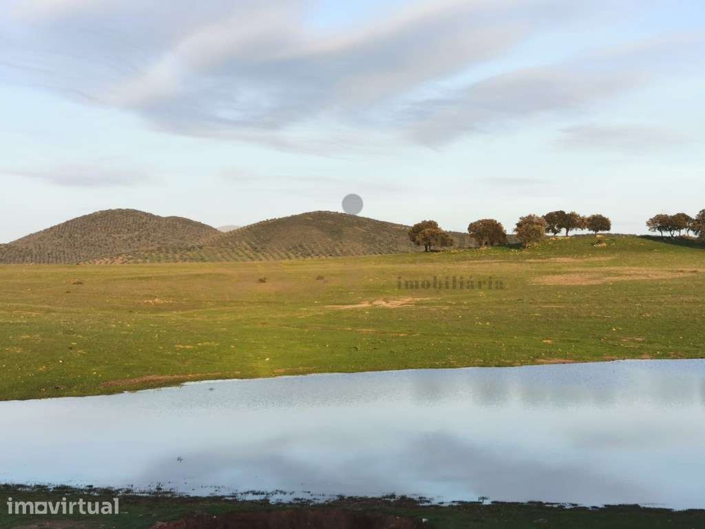 Herdade em Vila Verde de Ficalho, com cerca de duzentos hectares - Grande imagem: 2/60