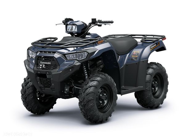 Kawasaki Brute Force - 1