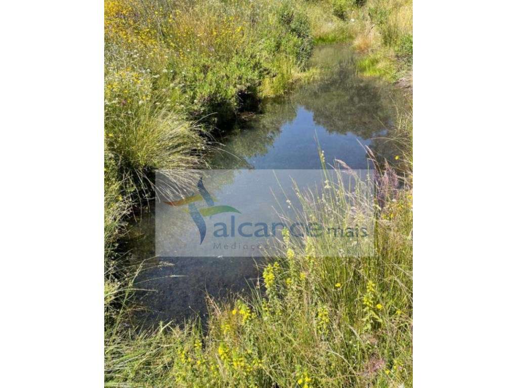 Herdade com 154 hectares em Reguengos de Monsaraz I FORTE POTENCIAL... - Grande imagem: 5/5