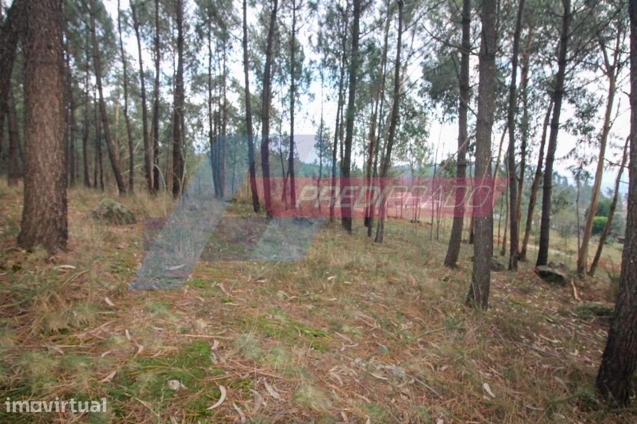 Terreno para Construção na zona de Vila Verde! - Grande imagem: 2/6