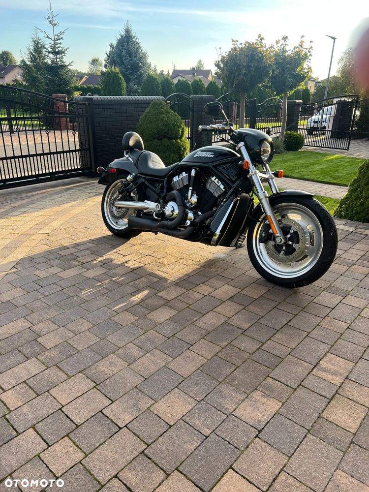 Harley-Davidson V-Rod Street Rod - 3