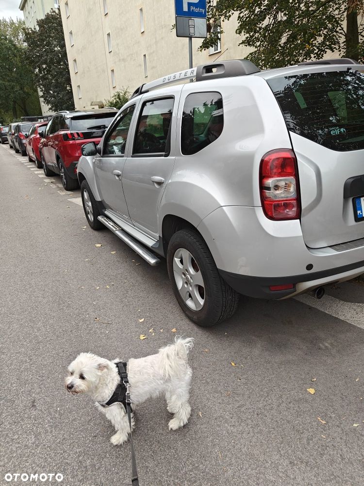 Dacia Duster - 5