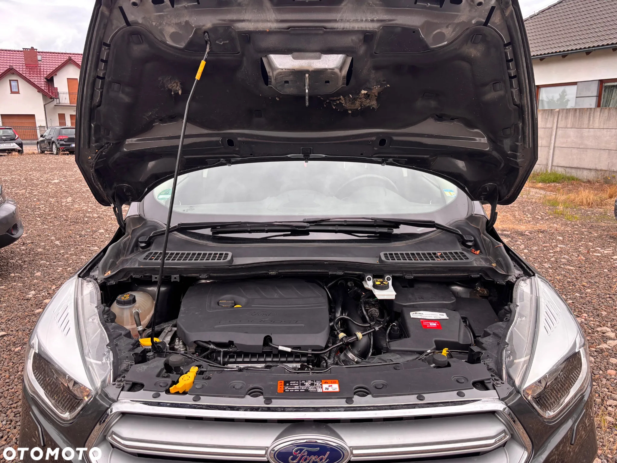 Ford Kuga 1.5 EcoBoost FWD Trend - 20
