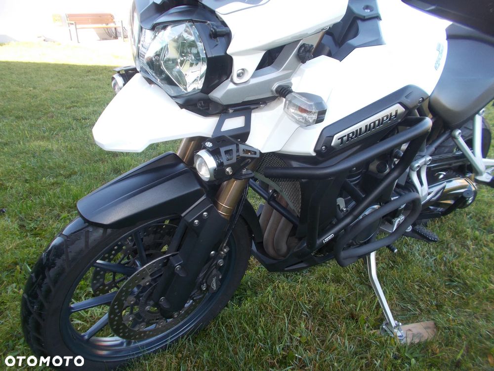 Triumph Tiger - 11