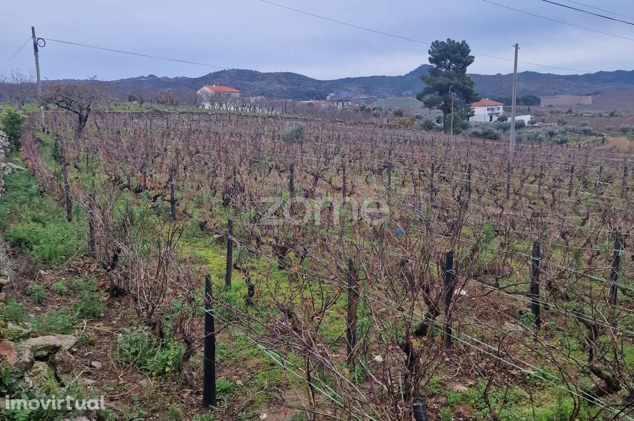 Terreno Urbano + Rústico à Venda no Centro da Vila – 6.940 m² - Grande imagem: 4/10