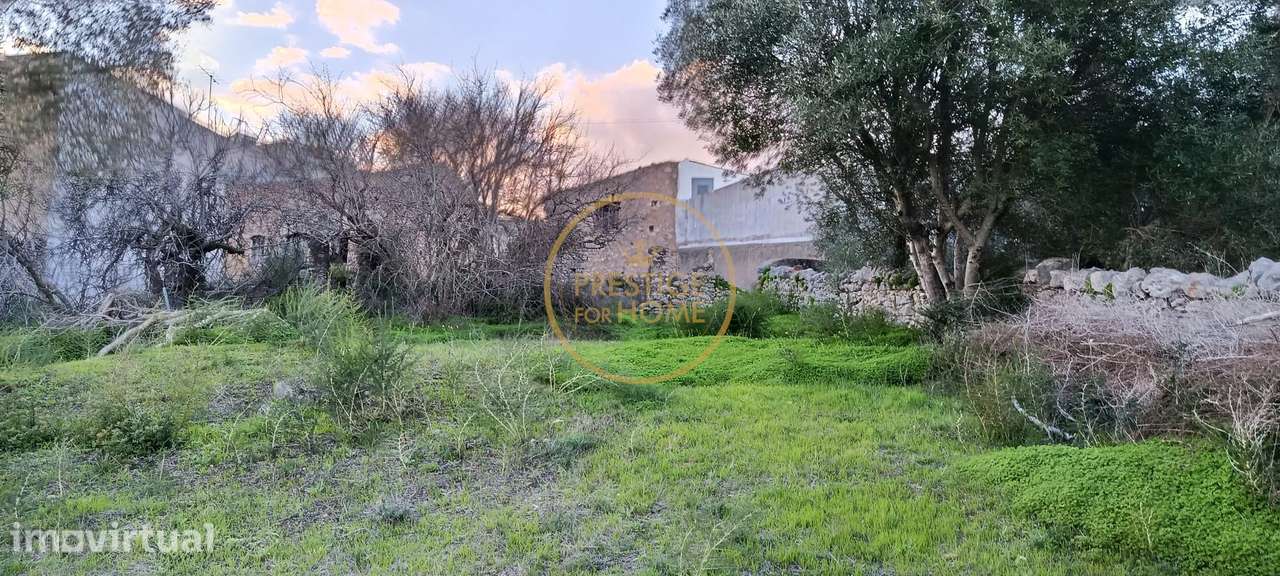 Terreno com ruina e ampla vista aberta da Picota até ao mar - Grande imagem: 2/14
