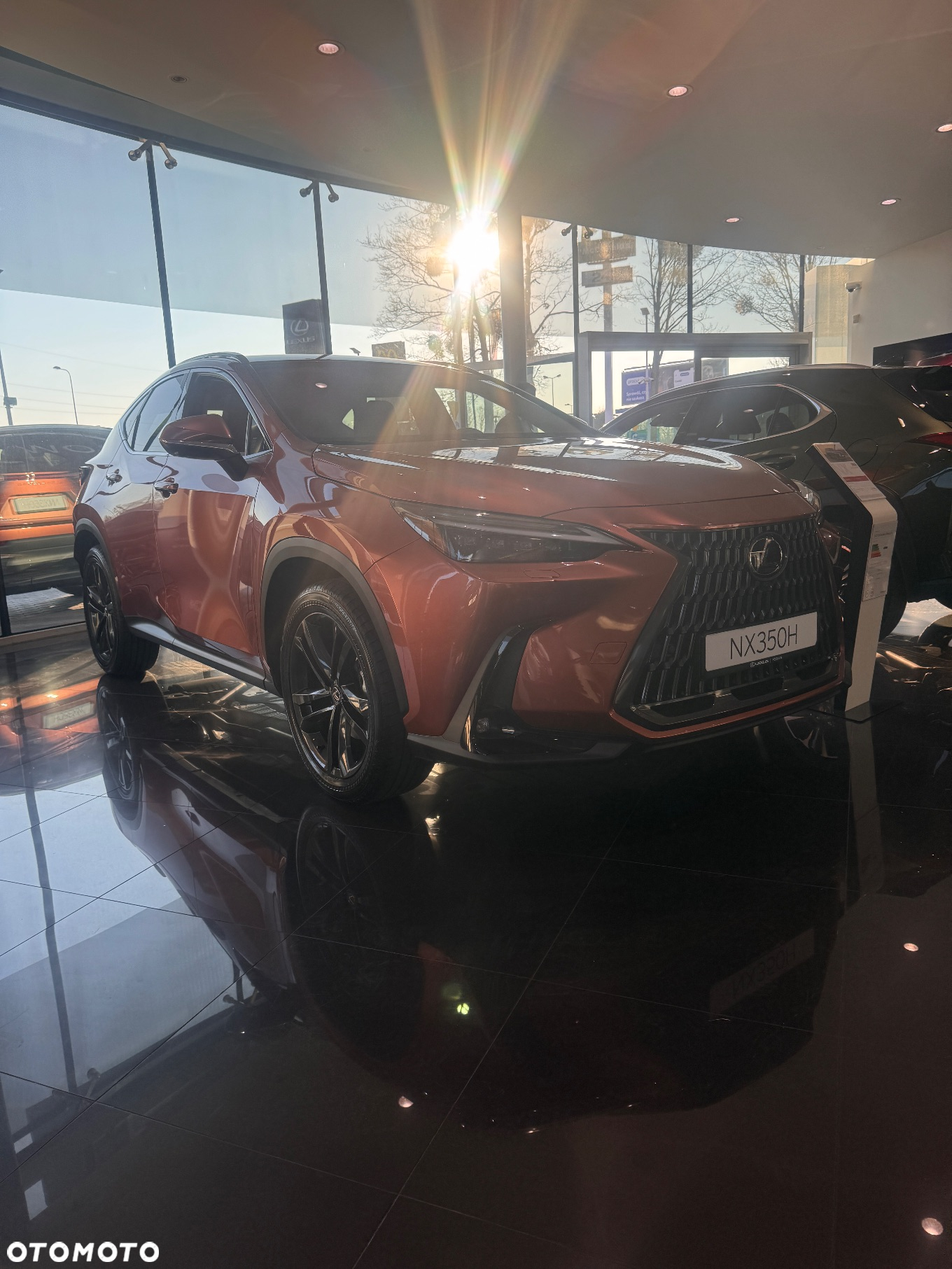 Lexus NX - 3