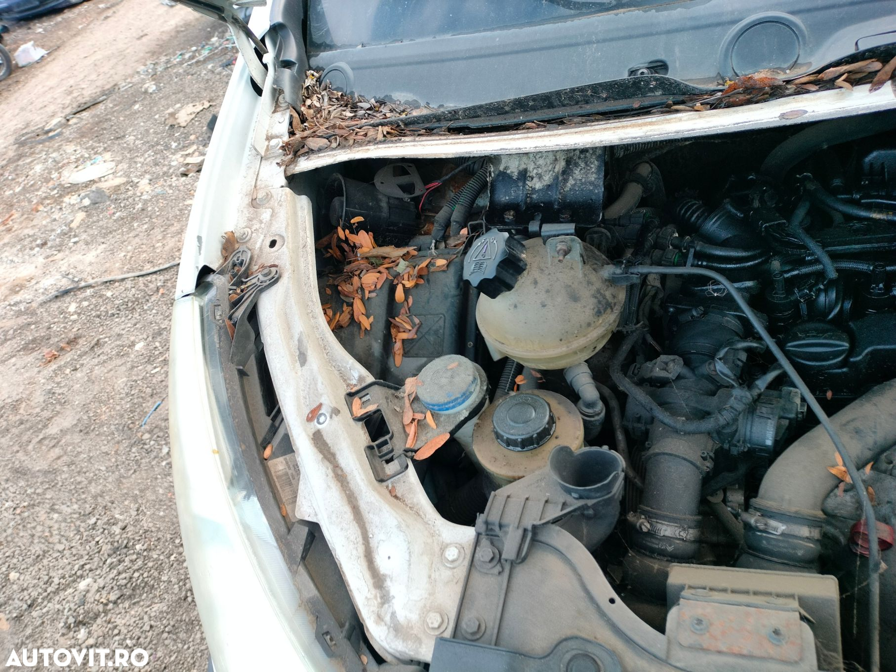 Dezmembrari  Citroen Jumpy 2  2007  > 0000 1.6 HDi 90 16V Motorina - 7