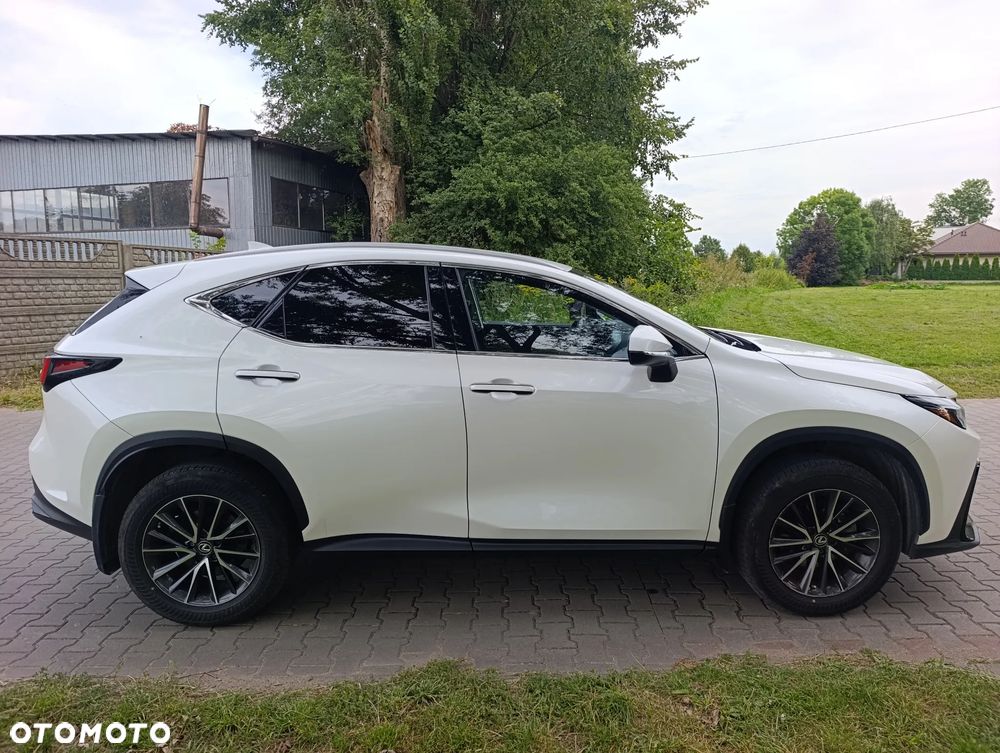 Lexus NX 350h - 5