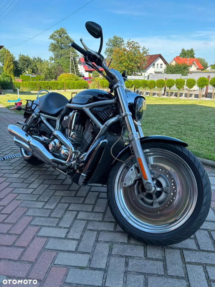 Harley-Davidson V-Rod Street Rod - 2