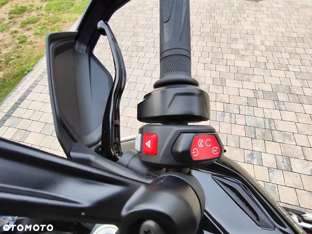 Triumph Tiger - 25