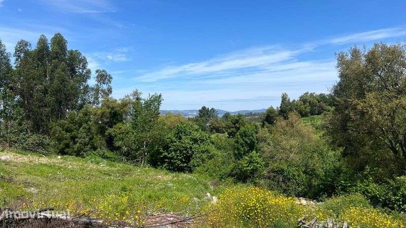 TERRENO 3.000 m² | Sao Mamede de  NEGRELOS – Santo Tirso - Grande imagem: 4/6