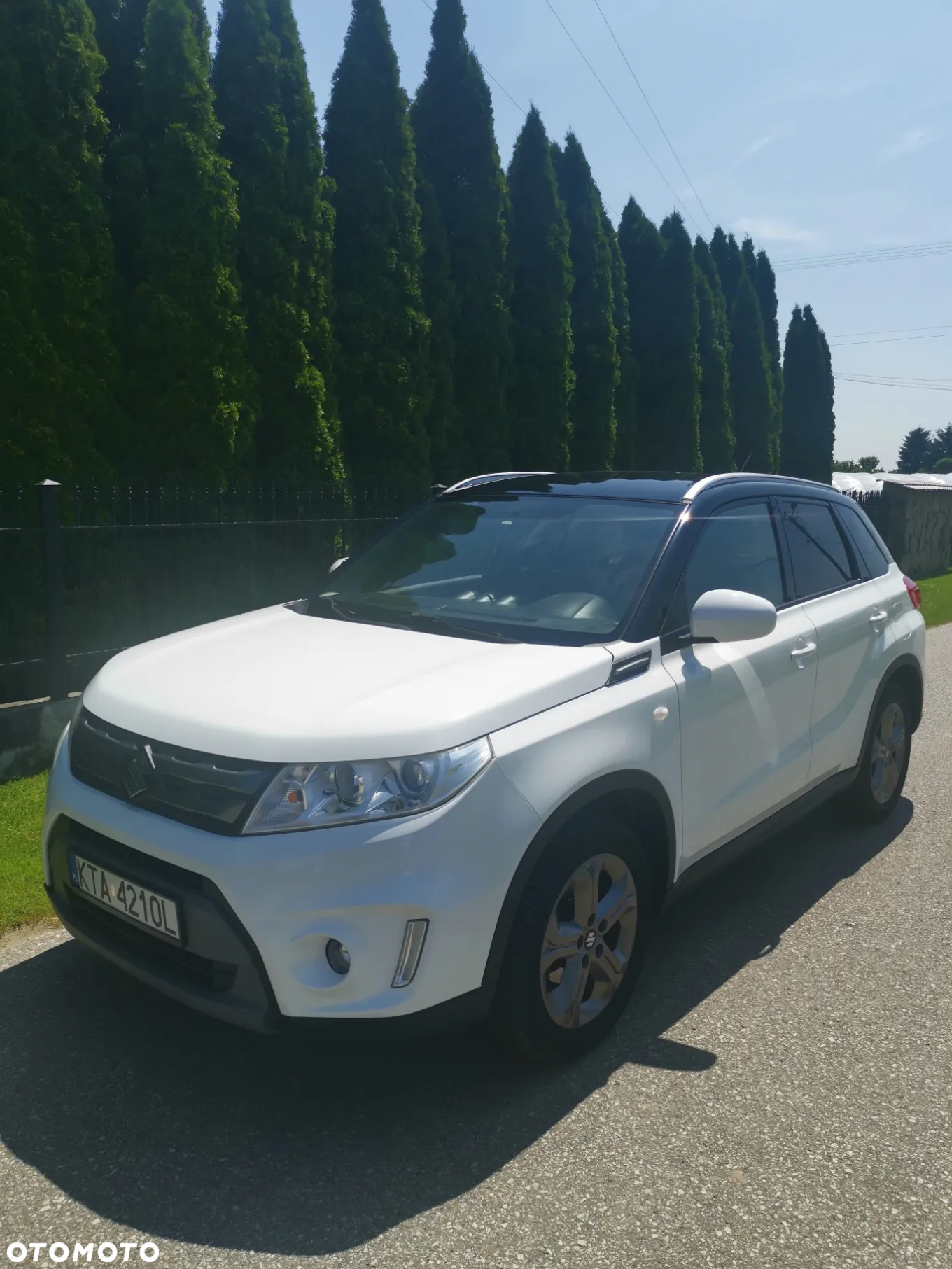 Suzuki Vitara - 2