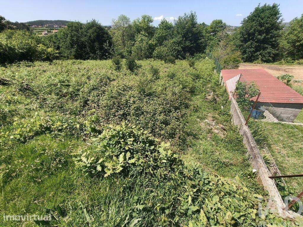 Terreno Agrícola em Infesta - Grande imagem: 4/28