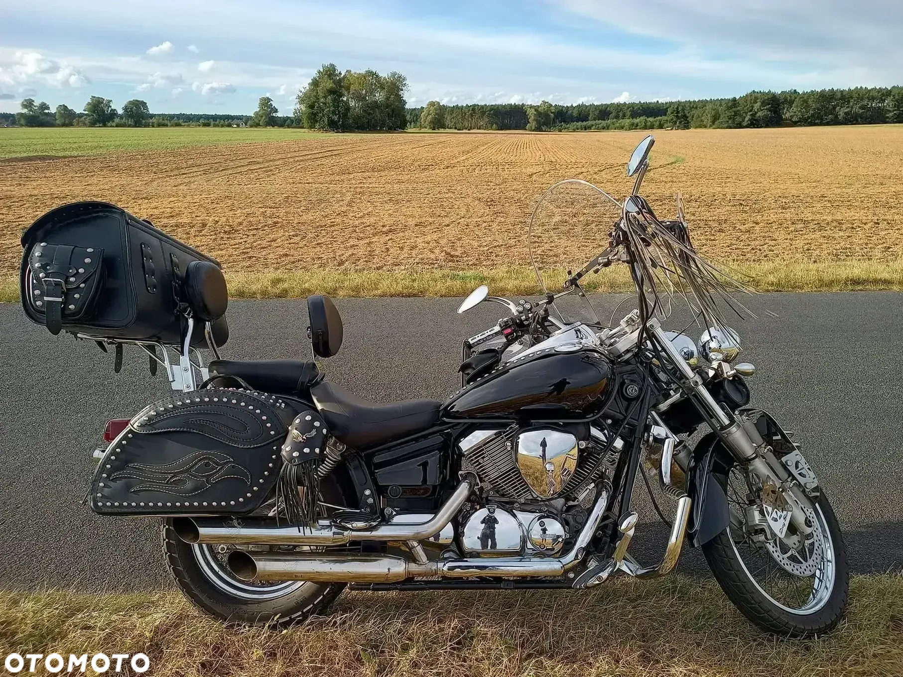Yamaha Drag Star - 3
