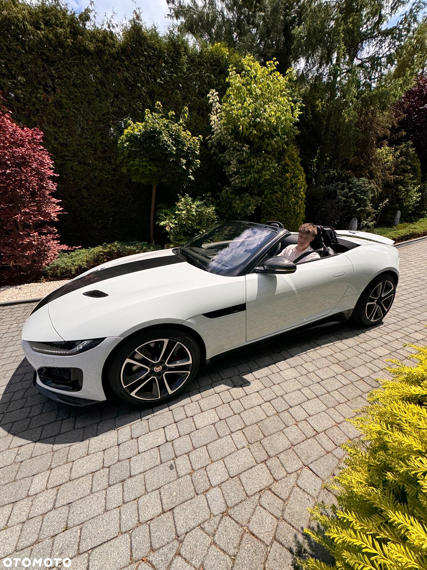 Jaguar F-Type 2.0 Turbo R-Dynamic - 16