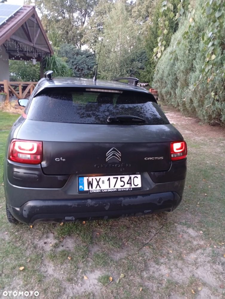Citroën C4 Cactus 1.2 PureTech Feel Edition S&S - 10
