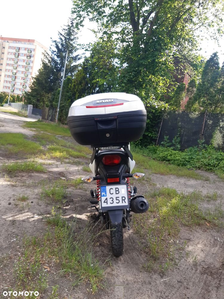 Honda CBF - 6
