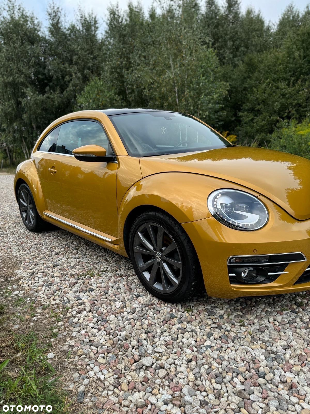 Volkswagen Beetle - 3