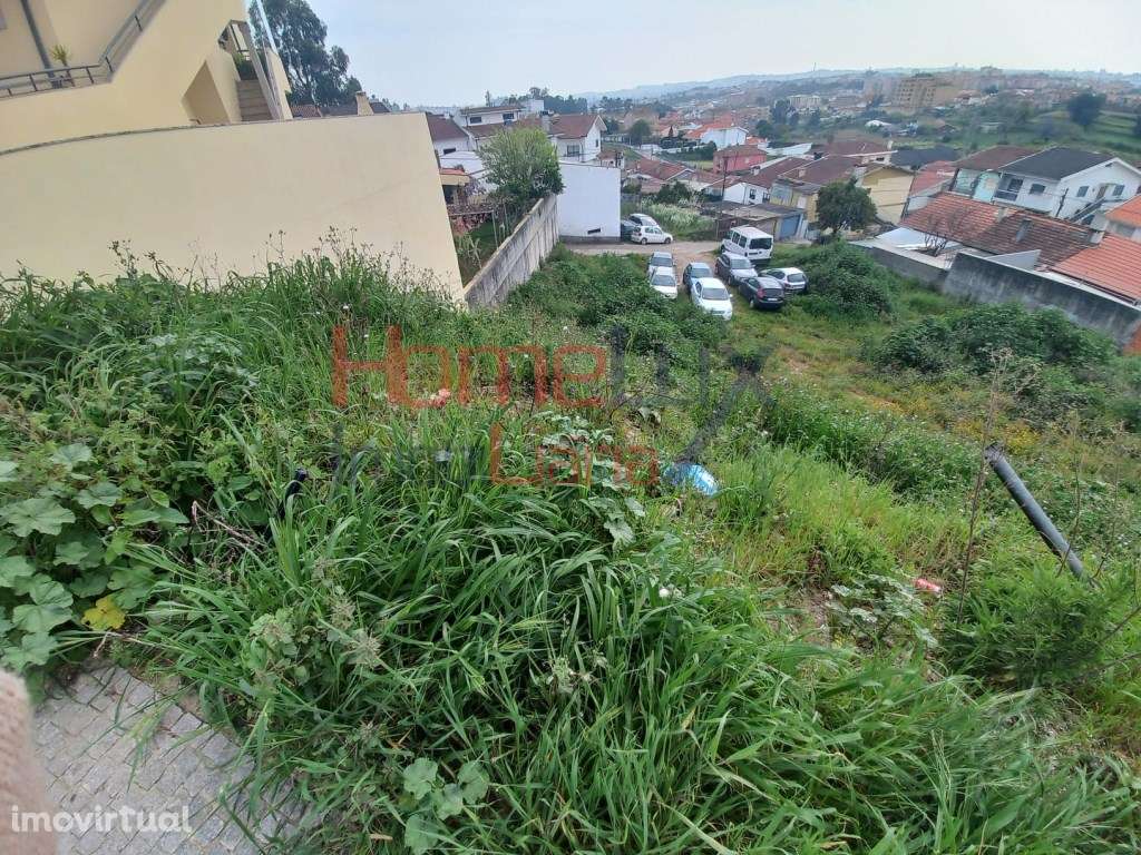 Lote Baguim - Grande imagem: 3/4