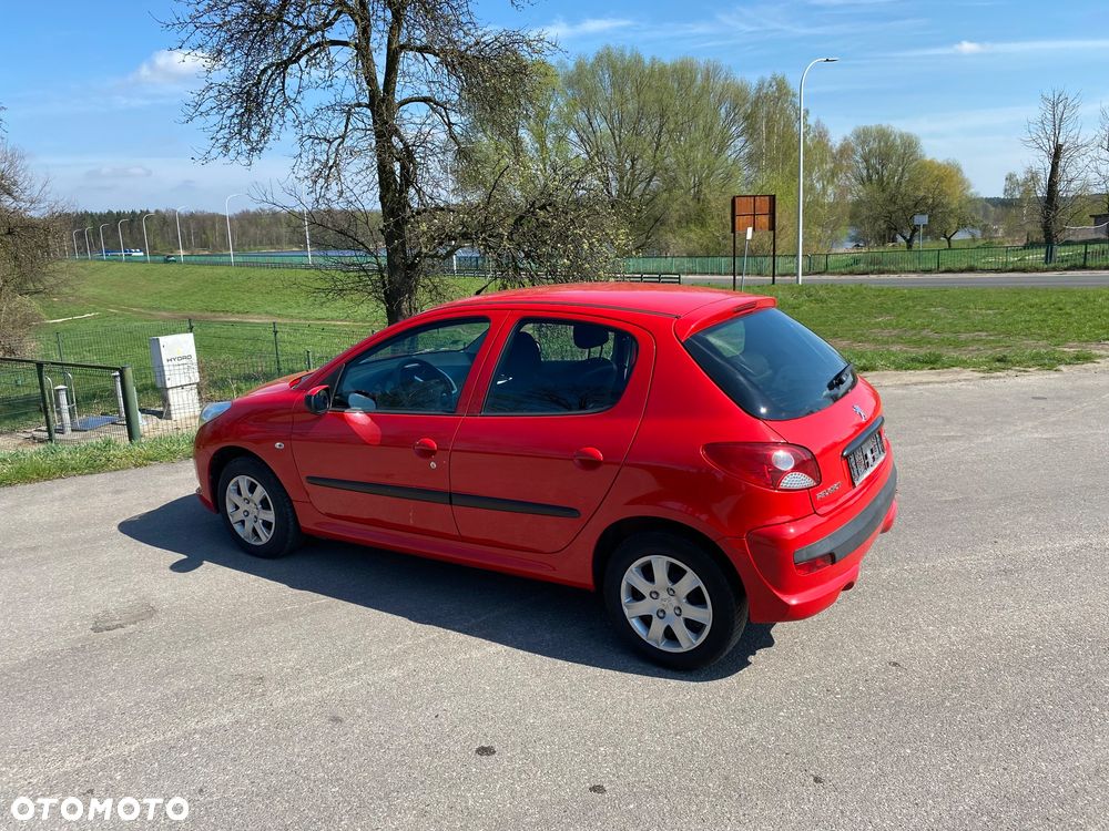 Peugeot 206 plus 60 - 13