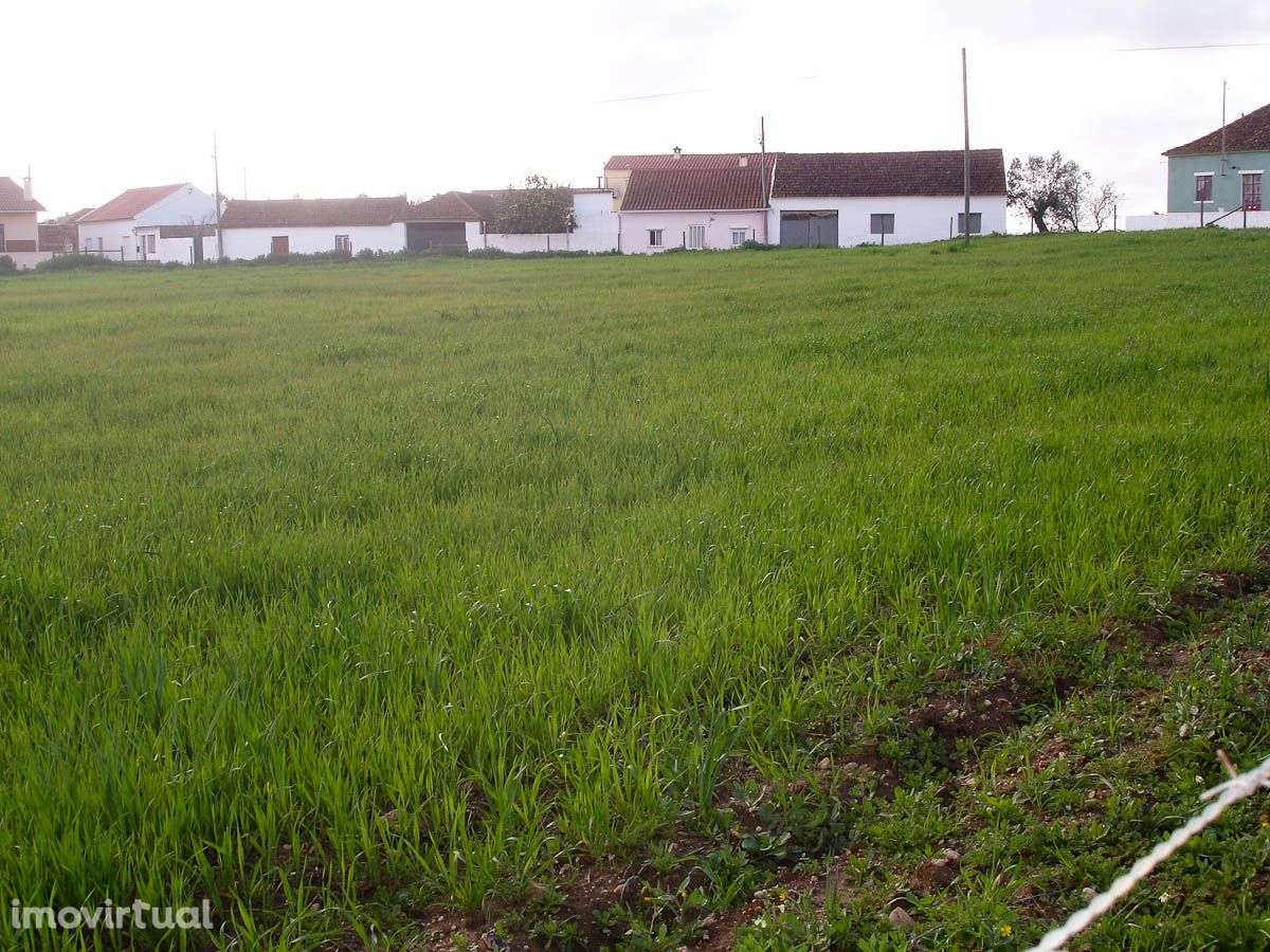 Terreno c/ Possibilidade de Lotear, Centro da Vila - Grande imagem: 2/9