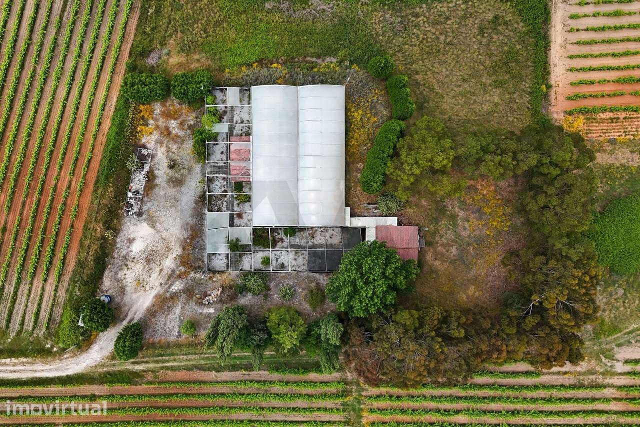 Terreno de cultura e vinha - Grande imagem: 2/17