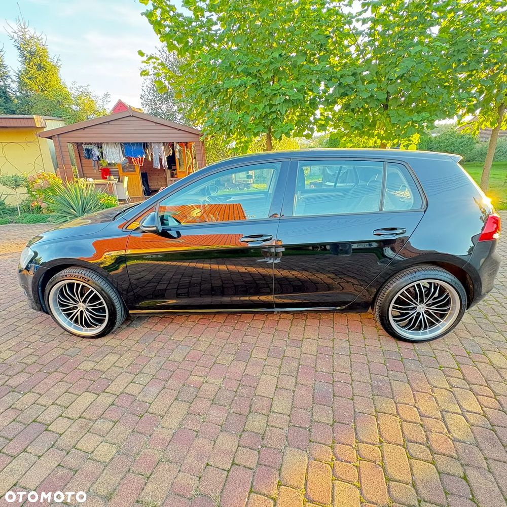Volkswagen Golf - 16