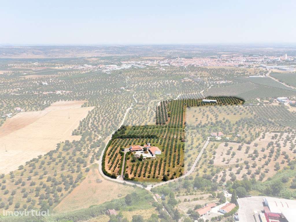 Quinta situada em Moura, Alentejo - Grande imagem: 2/27