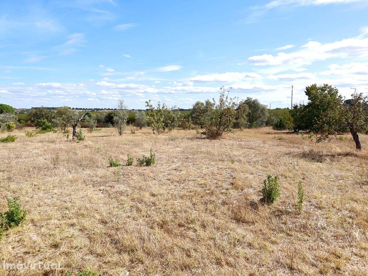 Terreno - Grande imagem: 5/12