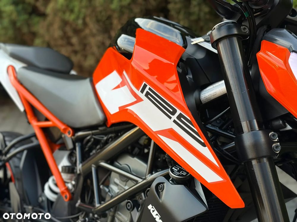 KTM Duke - 17