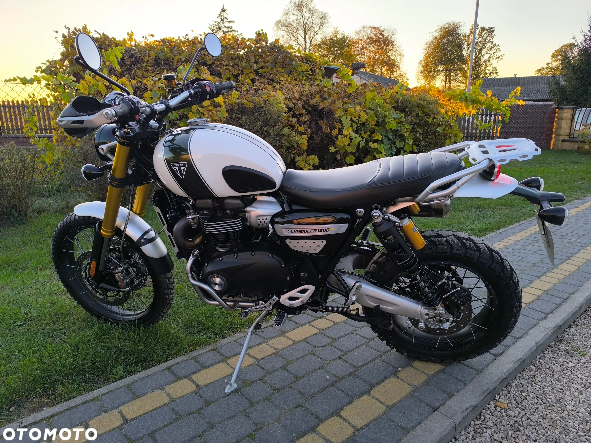 Triumph Scrambler - 6