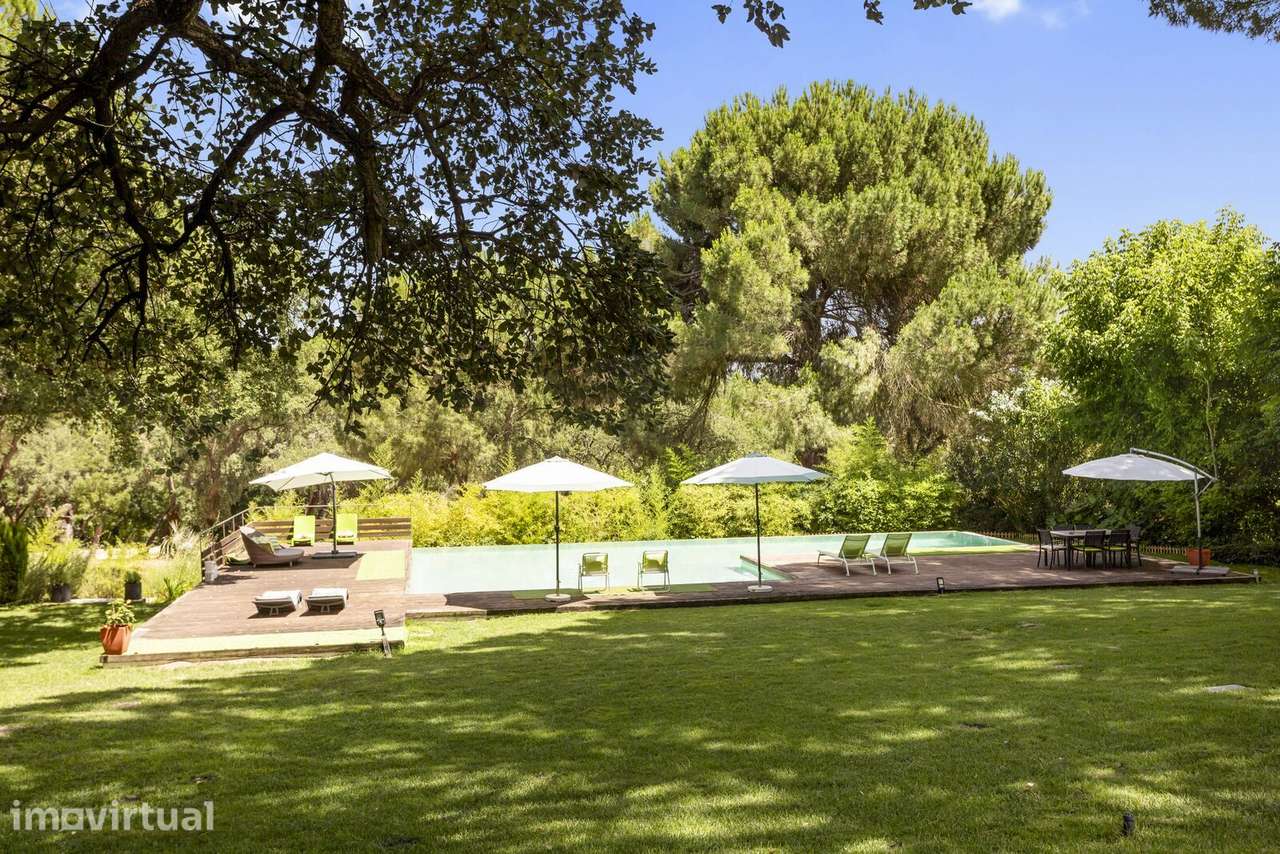 Quinta 20.4 ha, Grandola - Grande imagem: 3/41