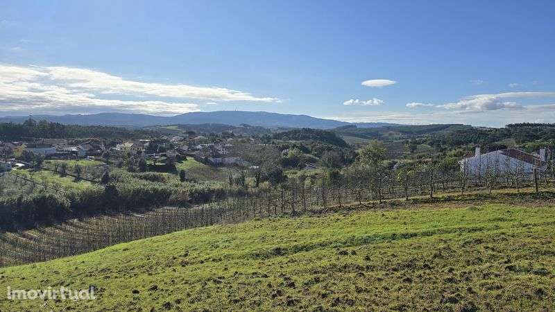 Terreno com 2.500 m² - Grande imagem: 4/5