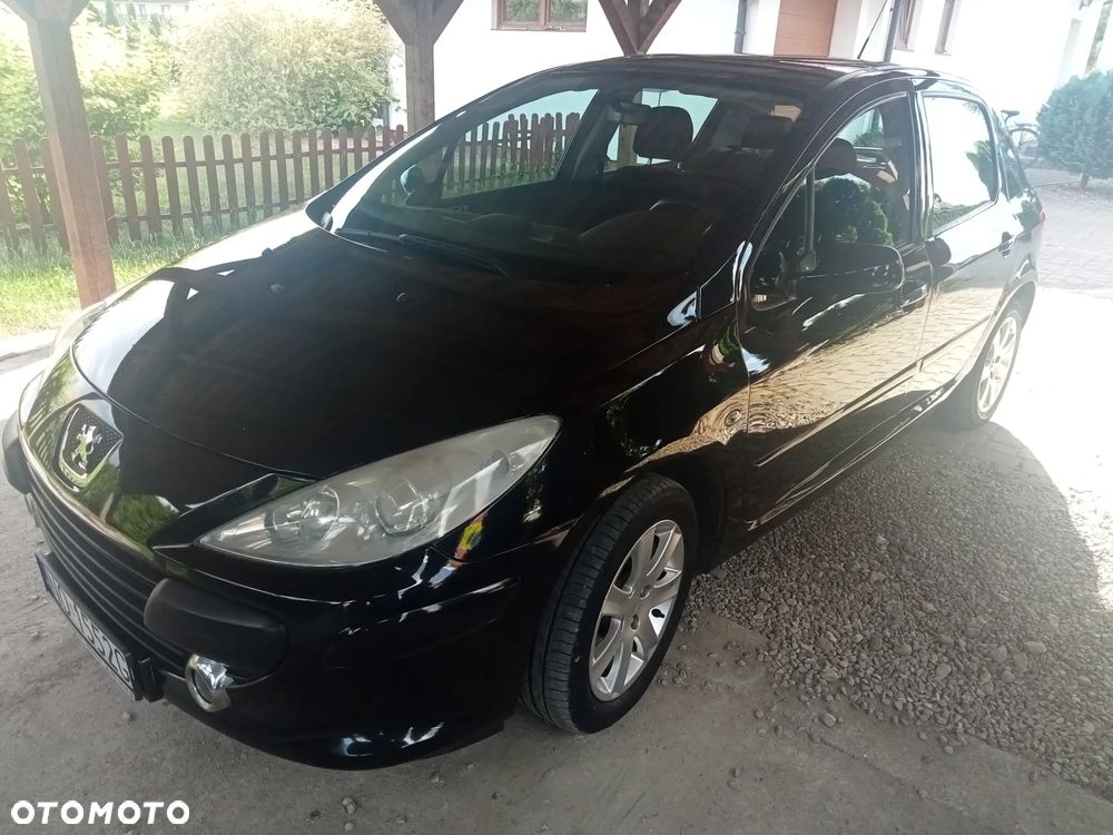 Peugeot 307 1.6 HDI Trendy (klm) - 14