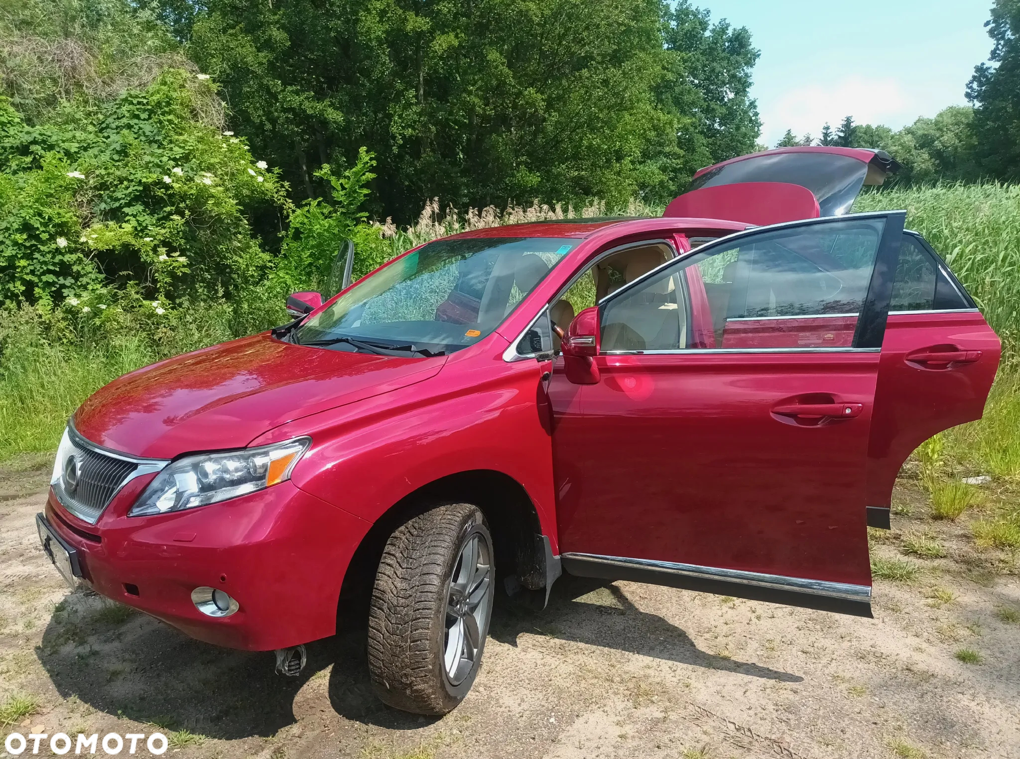 Lexus RX 450h (hybrid) Executive Line - 32