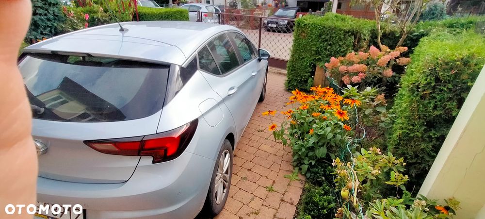 Opel Astra 2019 photo 3