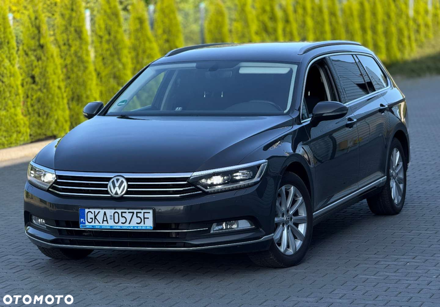 Volkswagen Passat - 12