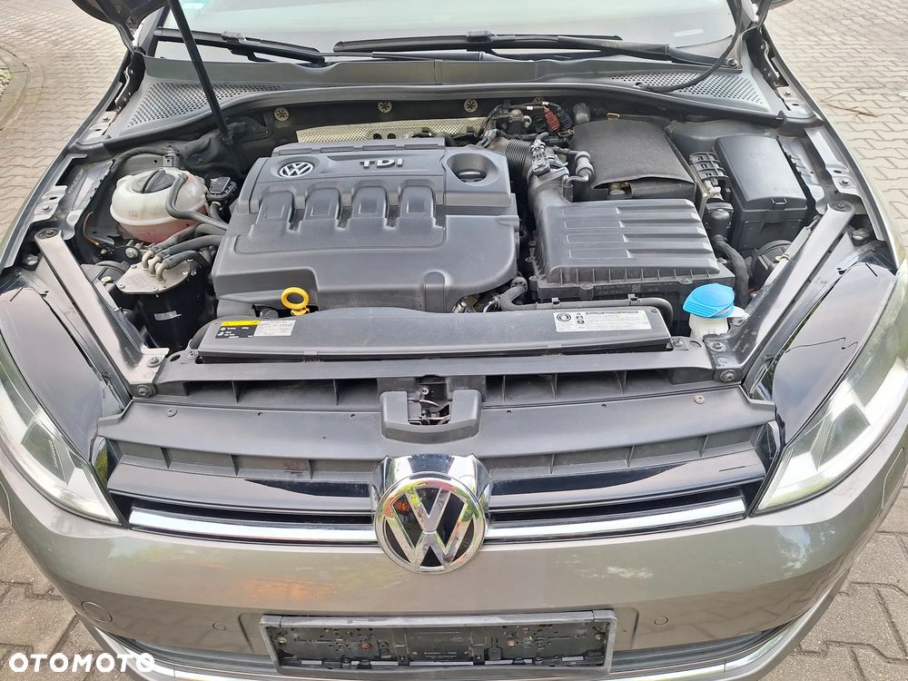 Volkswagen Golf - 9