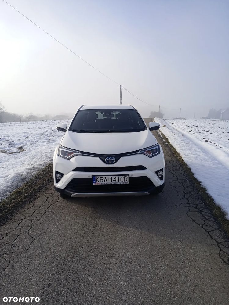 Toyota RAV4 2.5 Hybrid Executive 4x2 - 3