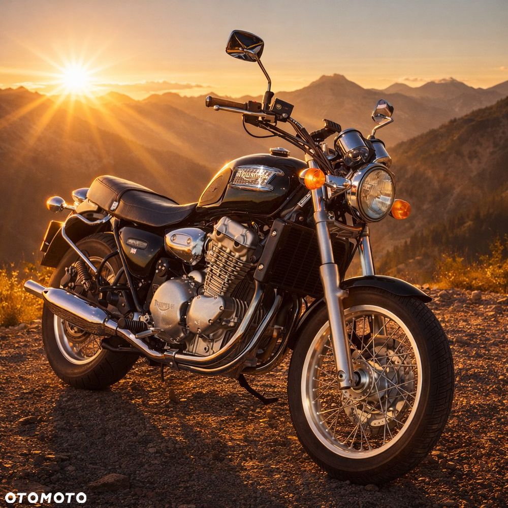 Triumph Thunderbird - 1