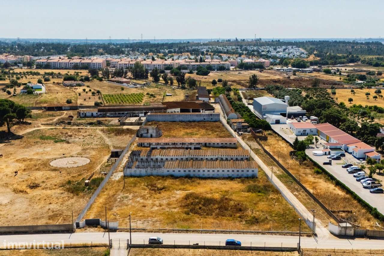 Invista no Sonho: Terreno 9.250 m2 c/ Potencial Único | Quinta do Anjo - Grande imagem: 5/41