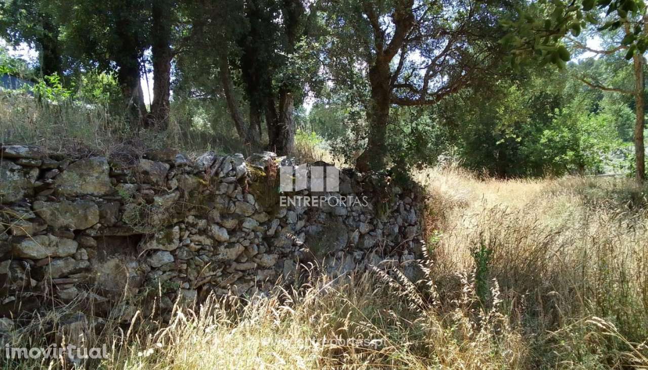Venda de Terreno de construção, Vilar Mouros, Caminha - Grande imagem: 5/30