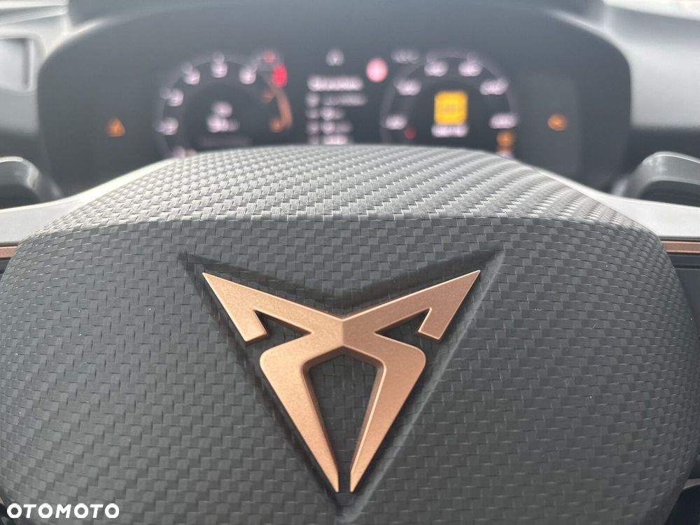 Cupra Terramar 1.5 eTSI mHEV Advantage Edition DSG - 21