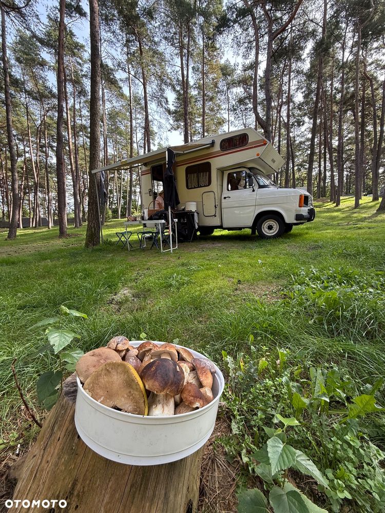 Ford Transit - 25